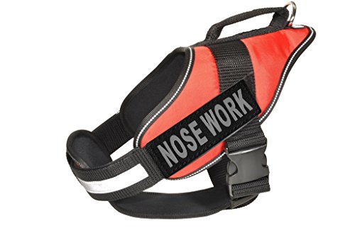 Dogline Alpha Nylon Service Vest Harness with Nose Work Velcro Patches, Medium, Red von Dogline