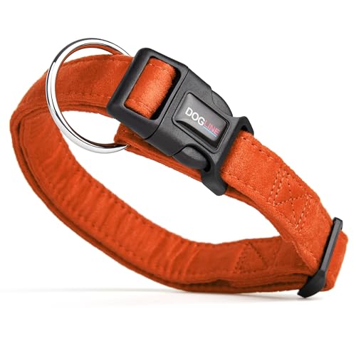 Dogline Hundehalsband aus Mikrofaser, flach, 1,9 cm breit, 33 cm lang, 53 cm lang, Orange von Dogline