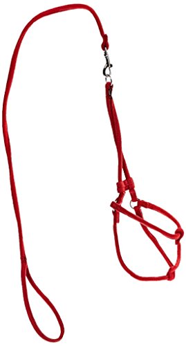 Dogline Hundeleine aus Mikrofaser, weich und gepolstert, für Hunde, Größe M (B 1/3 x L 36 x G18-66 cm), Rot von Dogline