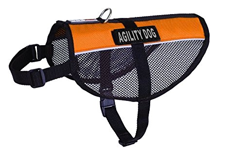 Dogline Maxaire Multi-Purpose Mesh Vest for Dogs and 2 Removable Agility Dog Patches, 30 to 38", Orange von Dogline