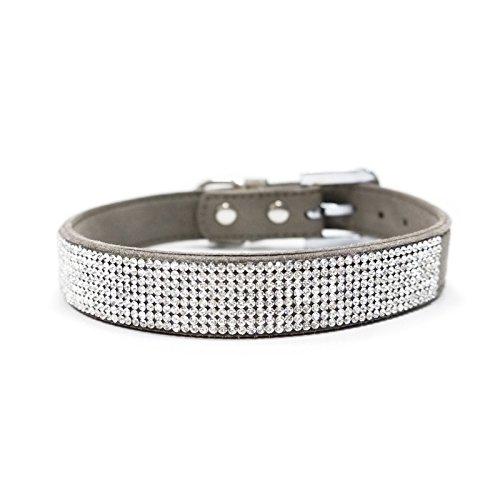 Dogo VIP Bling Hundehalsband, Grau/Größe S von Dogo