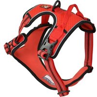 Dogs Creek Geschirr Pathfinder rot M von Dogs Creek