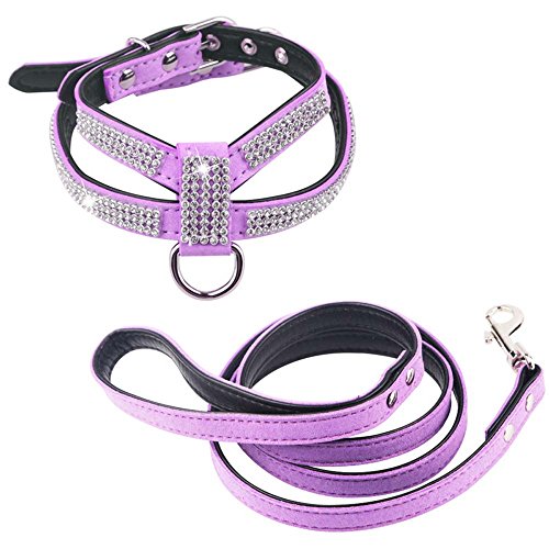 Dogs Kingdom Full Strass Kristall PET Hundegeschirr Leine Set individuelle Strass Puppy Kleiner Hund Chihuahua Hundegeschirr Leine 2, L, violett von Dogs Kingdom