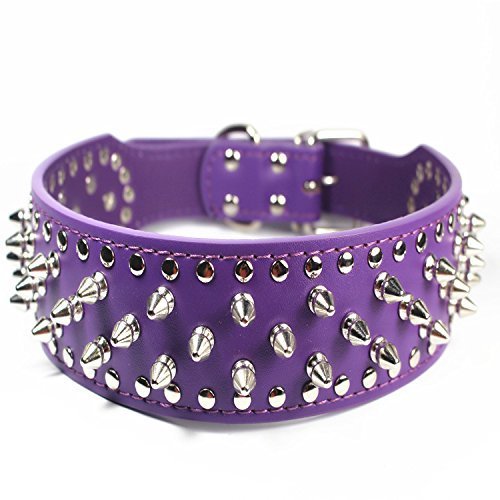 Dogs Kingdom Hundehalsband, Kunstleder, mit Nieten, 5 cm breit, Violett von Dogs Kingdom