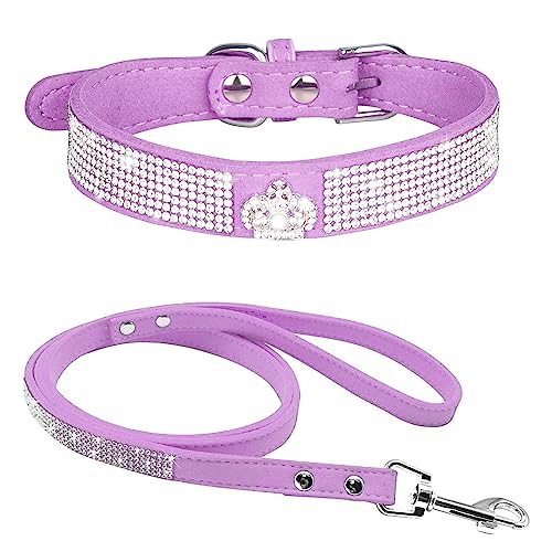 Dogs Kingdom Hundehalsband-Set mit Strasssteinen, glitzernde Krone mit weichem Wildleder, 10 Stück von Dogs Kingdom