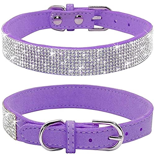 Dogs Kingdom Weiches Samt-Halsband für Hunde und Katzen, mit Strassbesatz, verstellbare Schnalle, Sicherheitshalskette für kleine, mittelgroße und große Hunde und Katzen, Lila, S: 25,4–32 cm Dogs Kingdom Weiches Samt-Halsband für Hunde und Katzen, mit Strassbesatz, verstellbare Schnalle, Sicherheitshalskette für kleine, mittelgroße und große Hunde und Katzen, Lila, S: 25,4–32 cm von Dogs Kingdom