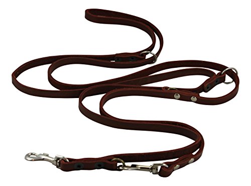 Braun 6 Way europäischen Multifunktional Leder Hund Leine, verstellbare Schutzhund führen 124,5 cm 94 cm lang, 3/20,3 cm breit (10 mm) für kleine Hunde von Dogs My Love