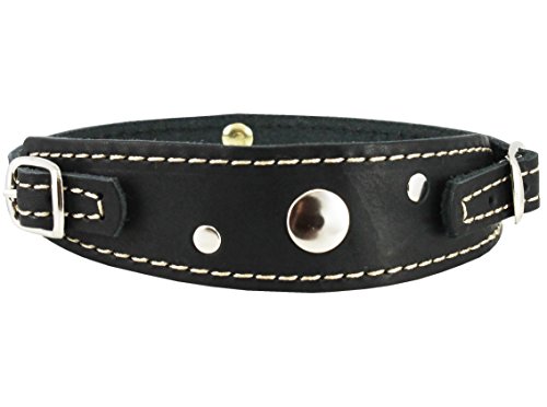 Dogs My Love Hundehalsband, Echtleder, 2 Schnallen, 24,5-31,8 cm, für kleine Rassen und Welpen, Schwarz von Dogs My Love