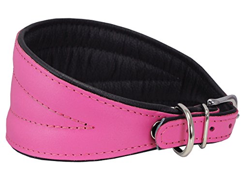 Dogs My Love Hundehalsband, Echtleder, extra breit, gepolstert, konisch, 36,2 cm - 43,2 cm Halsumfang, 6,3 cm breit, Rosa von Dogs My Love