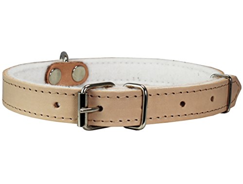 Dogs My Love Hundehalsband, echtes Leder, mit Filz, gepolstert, 22,2 - 26,7 cm Halsumfang, 1,9 cm breit, Beige von Dogs My Love