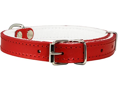 Dogs My Love Hundehalsband, echtes Leder, mit Filz, gepolstert, 22,2 - 26,7 cm Halsumfang, 1,9 cm breit, Rot von Dogs My Love