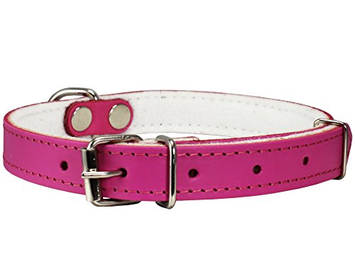 Dogs My Love Hundehalsband, echtes Leder, mit Filz, gepolstert, 22,2 cm - 26,7 cm Halsumfang, 1,9 cm breit, Rosa von Dogs My Love