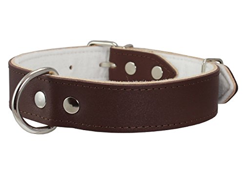 Dogs My Love Hundehalsband, echtes Leder, mit Filz, gepolstert, 43,2 - 51,4 cm Halsumfang, 2,8 cm breit, Braun von Dogs My Love