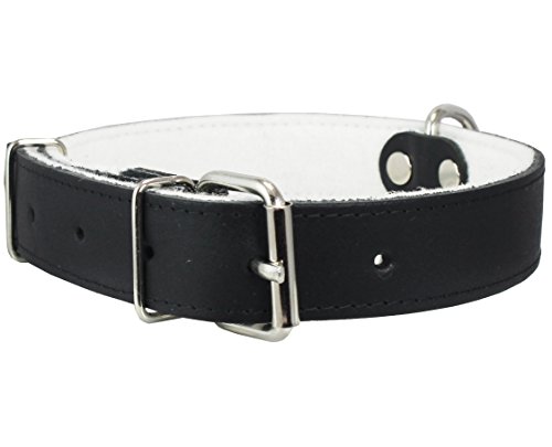 Dogs My Love Hundehalsband, echtes Leder, mit Filz, gepolstert, 49,5 - 62,2 cm Halsumfang, 3,8 cm breit, Schwarz von Dogs My Love