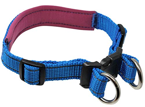 Dogs My Love Hundehalsband, weiches Neopren, gepolstert, reflektierend, 2,5 cm breit, 2 Ringe, Blau, 3 Größen, Neck: 17"-20.5", blau von Dogs My Love