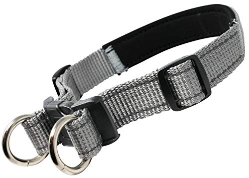 Dogs My Love Hundehalsband, weiches Neopren, gepolstert, reflektierend, 2,5 cm breit, 2 Ringe, Grau, 3 Größen, Neck: 15"-18", grau von Dogs My Love