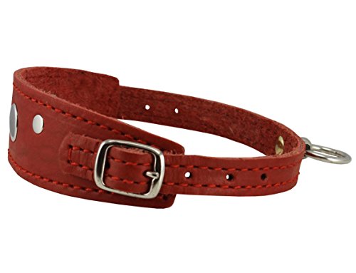 Dogs My Love Hundehalsband aus echtem Leder, 2 Schnallen, Halsumfang 24,1 - 31,8 cm, für kleine Rassen und Welpen, Rot von Dogs My Love