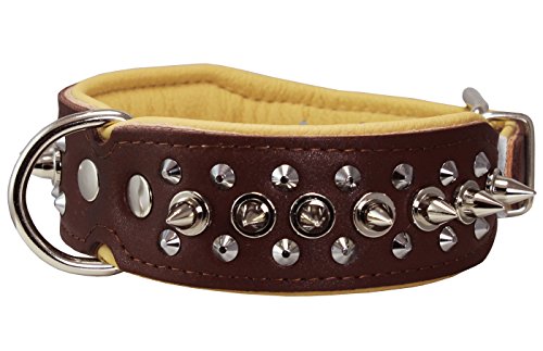 Dogs My Love Hundehalsband mit Nieten, Echtleder, 4,4 cm breit, 30,5–36,8 cm Halsumfang, 4,4 cm breit, Braun/Beige von Dogs My Love