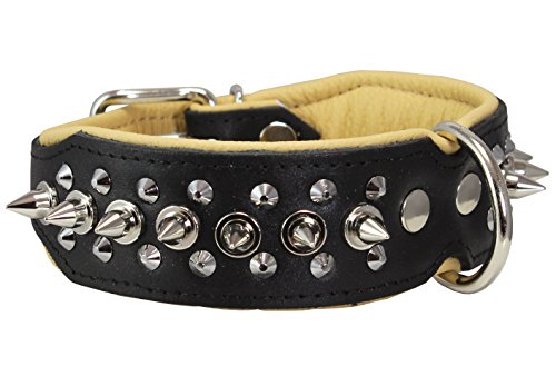 Dogs My Love Hundehalsband mit Nieten, Echtleder, 4,4 cm breit, 35,6 cm - 43,2 cm Halsumfang, 4,4 cm breit, Schwarz/Beige von Dogs My Love