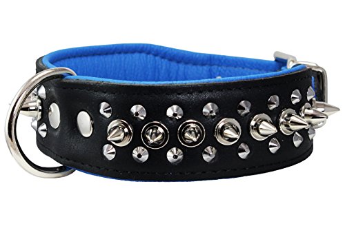 Dogs My Love Hundehalsband mit Nieten, Echtleder, 4,4 cm breit, 41,9 cm bis 47 cm Halsumfang, 4,4 cm breit, schwarz/blau von Dogs My Love