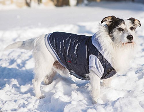 Dogs My Love Kapuzenjacke für kalte Wetter, Blau von Dogs My Love