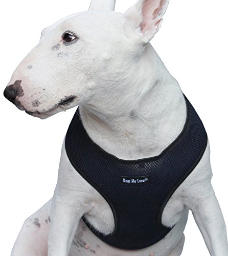 Hunde My Love Weichem Mesh-Walking Geschirr für Hunde und Welpen 6 Größen Blau, L (Neck Max: 15"; Chest Girth: 18"-23"), Blau von Dogs My Love