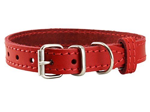 Hundehalsband aus echtem Leder, für kleine Hunde und Welpen, 3 Größen, Rot (Halsumfang: 20,3 cm - 24,8 cm, 9,5 cm breit) von Dogs My Love