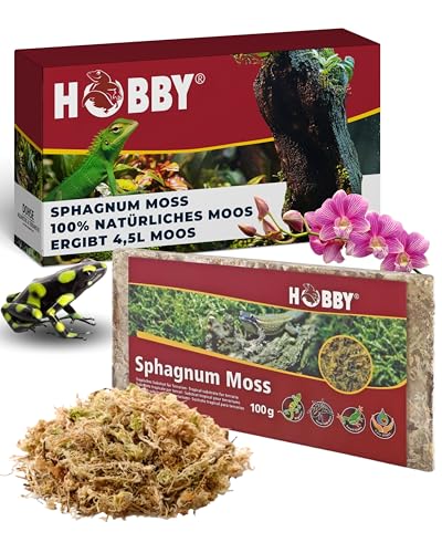 Hobby Terraristik Sphagnum Moss I 100g I tropisches Substrat für Terrarien und Orchideen I Moos für Terrarien I 100% natürlich und ohne chemische Zusätze I Moos zur Erhöhung der Luftfeuchtigkeit von Dohse Aquaristik