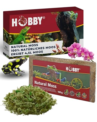 HOBBY Terraristik Natural Moss I 100g I tropisches Substrat für Terrarien und Orchideen I Moos für Terrarien I 100% natürlich und ohne chemische Zusätze I Moos zur Erhöhung der Luftfeuchtigkeit von Hobby