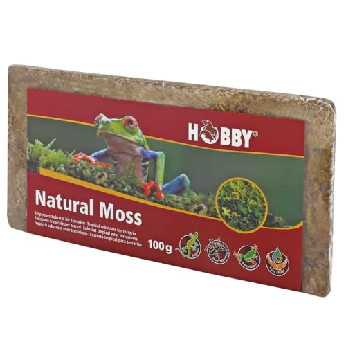 HOBBY Terraristik Natural Moss I 100g I tropisches Substrat für Terrarien und Orchideen I Moos für Terrarien I 100% natürlich und ohne chemische Zusätze I Moos zur Erhöhung der Luftfeuchtigkeit von Hobby