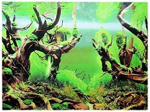 Rückwandfolie 100 cm x 40 cm Aquarien Rückwand Hintergrund Dekoration Poster von Dohse Aquaristik