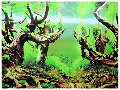 Rückwandfolie 120 cm x 60 cm Aquarien Rückwand Hintergrund Dekoration Poster von Dohse Aquaristik