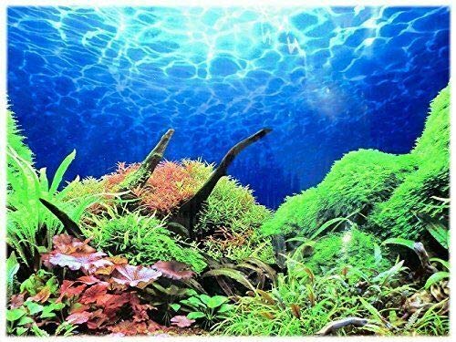 Rückwandfolie 130 cm x 40 cm Aquarien Rückwand Hintergrund Dekoration Poster von Dohse Aquaristik