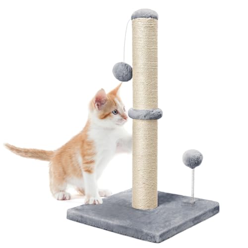 Dohump Kratzstamm, 54cm Kratzsäule für Katzen mit Ultimate Natürlichem Sisalseil, Kratzbaum für Kätzchen, Grau von Dohump