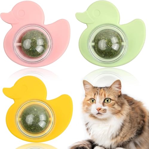 Dokeno 3 Stück Katzenminze Balls Spielzeug für Katze, Zahnreinigung Dental Kätzchen Kauspielzeug, Drehbares Katzenspielzeug, Katzenminze Bälle für Katzen, fur Steigern Sie den Appetit Zahnreinigung von Dokeno