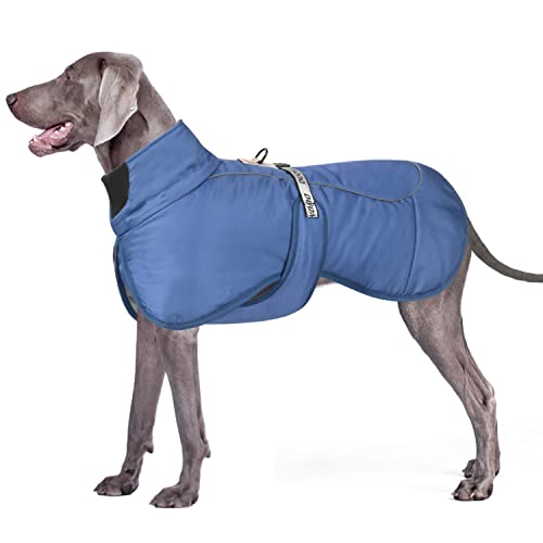 Dolahovy Winter Hundejacke Warmer Hundemantel Verstellbare Hunde Bekleidung Winddichter Reflektierende Hundeweste mit D-Ring Outfit für Mittlere Große Hunde Draussen von Dolahovy