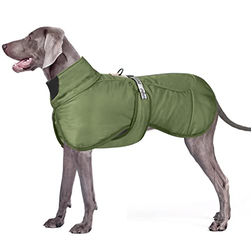 Dolahovy Winter Hundejacke Warmer Hundemantel Verstellbare Hunde Bekleidung Winddichter Reflektierende Hundeweste mit D-Ring Outfit für Mittlere Große Hunde Draussen von Dolahovy