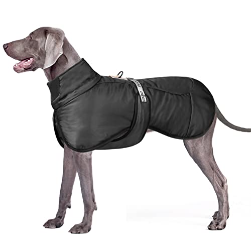 Dolahovy Winter Hundejacke Warmer Hundemantel Verstellbare Hunde Bekleidung Winddichter Reflektierende Hundeweste mit D-Ring Outfit für Mittlere Große Hunde Draussen von Dolahovy