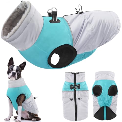 Dolahovy wasserdichte Hundemantel Winterjacken, Winddichte Haustier Kleidung Große Jumper Warme Hunde Mäntel Fleece Jacken Outfit für kleine mittlere große Hunde Welpen Weste mit Geschirr (Blau, 2XL) von Dolahovy