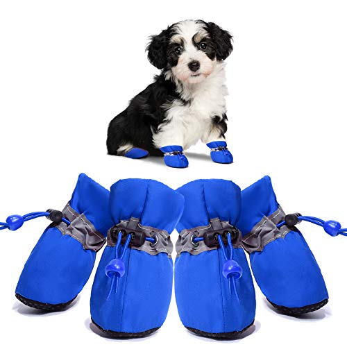 Hundeschuhe für kleine, mittelgroße Hunde und Welpen, heißer Gehweg, Sommerpfotenschutz, Schnee, Winterstiefel, rutschfest, Blau, Größe 4 von Dolebean