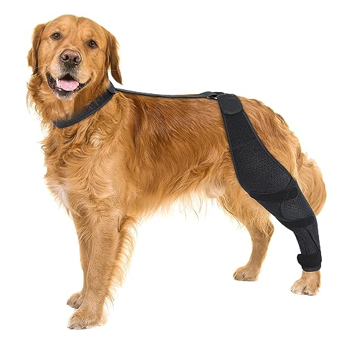 Dolitego Dog ACL Kniebandage für die Genesung von Haustieren, verstellbare Riemen, universelle Passform, stützend und bequem, für kleine, mittelgroße und große Hunde (X-Large, Schwarz links) von Dolitego