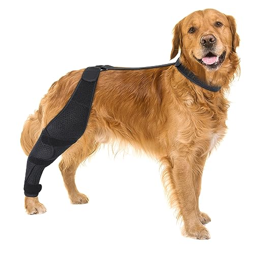 Dolitego Dog ACL Kniebandage für die Genesung von Haustieren, verstellbare Riemen, universelle Passform, stützend und bequem, für kleine, mittelgroße und große Hunde (X-Large, Schwarz rechts) von Dolitego