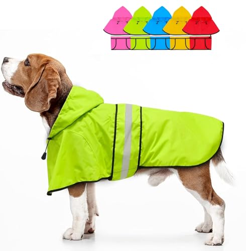 Dolitego Wasserdichter Verstellbarer Hunderegenmantel - Reflektierende Hunderegenjacke mit Hoodie, Leichter Hund Regenmantel Hundeponcho Zupfer für Kleine Mittlere und Große Hunde (Medium, Grün) von Dolitego