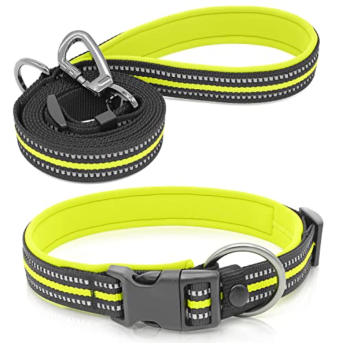 Domagiker Reflektierendes Hundehalsband und Leine, Set – Nylon-Hundehalsband gepolstert mit weichem Neopren, einfache Hundehalsbänder für kleine, mittelgroße und große Hunde,61 cm), grün) von Domagiker