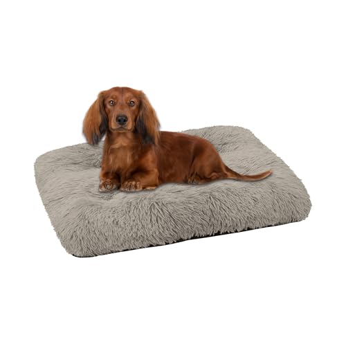 Domarex Fluffiges und Weiches Haustierbett für Hunde und Katzen - 70x50 cm - Bequemes und Pflegeleichtes Liegeplatz - beige von Domarex