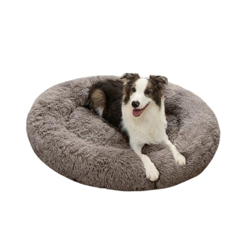 Domarex Gemütliches XXL Hundebett und Katzenbett – Flauschige Shaggy Kissen, 110 cm – Kuschelbett für Hunde und Katzen, Weich, Robust und Leicht zu Reinigen - beige von Domarex