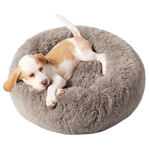 Domarex Weiches rundes Kuschelbett für Hunde und Katzen - DOGGURU Haustierkissen, 60 cm, rutschfest, bequem und pflegeleicht - Beige von Domarex