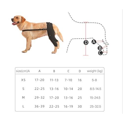 Domary Verstellbare Kniebandage für die Hinterbeine von Hunden, Unterstützung für Erholung, Stabilität, Schmerzlinderung, Geeignet für Hunde, SBR, Verschiedene (HJ25 hintere von Domary