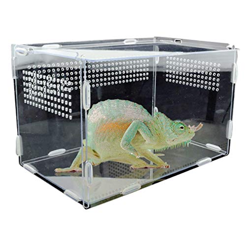 Dongzhi Reptilien-Futterbox 20 x 15 x 15 cm, transparentes Glas, Brutkasten, Terrarium, Haustier, Insekten, Spinnen, Krickets, Schnecken, Einsiedler, Krebse, Eidechse von Dongzhi