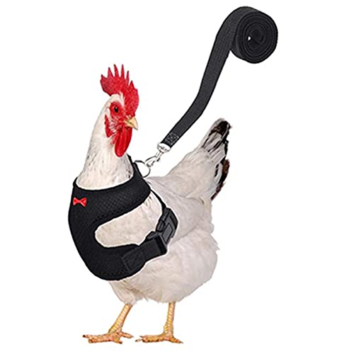 Dongzhi Verstellbares Hühnergeschirr mit Leine und passendem Gürtel, Komfortable Henne Pet Vest Atmungsaktives Hühnertrainingsgeschirr für Hühner-, Enten- oder Gans-Trainingswandern (Schwarz, Rot) von Dongzhi